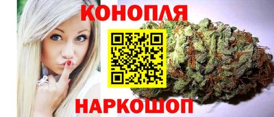 индика Малгобек
