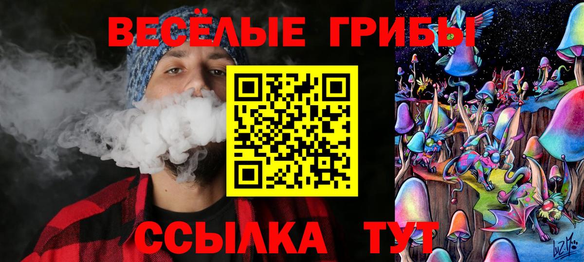 Галлюциногенные грибы Psilocybine cubensis Свободный
