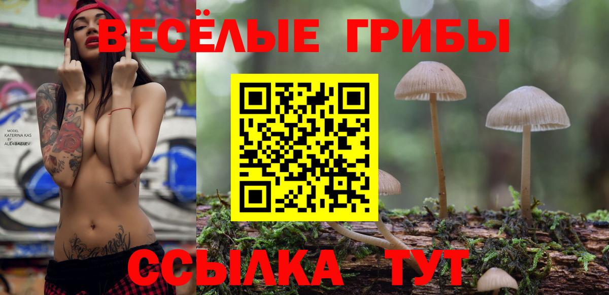 Свободный  Псилоцибиновые грибы Psilocybine cubensis  Вход с VPN 